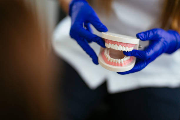 Best Laser Dentistry  in Mayer, AZ